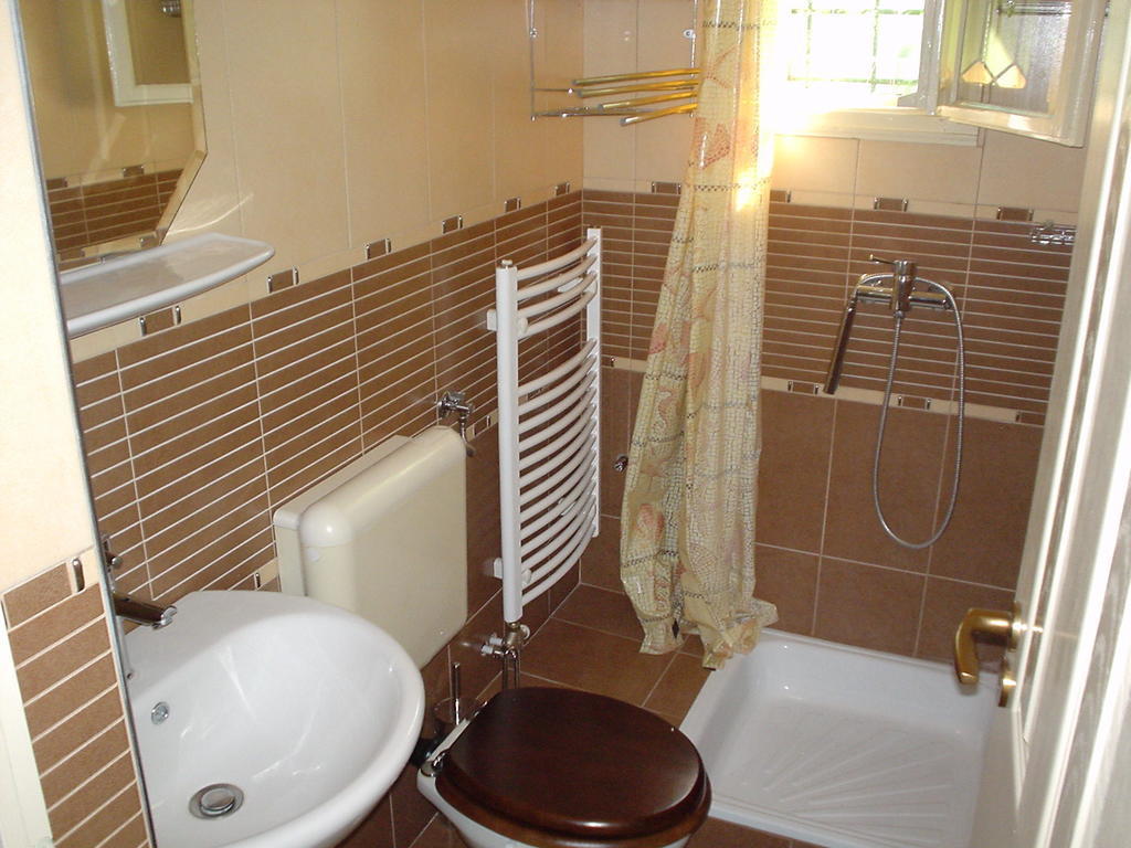 Oeroekzoeld Apartmanok バラトンフェニヴェシュ 部屋 写真